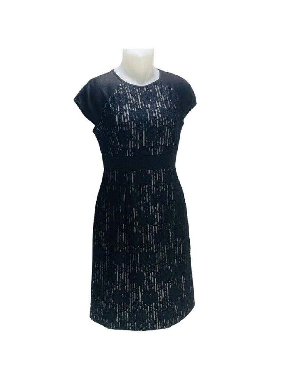 GABBY STYLE Dress Women's Size 8 Lace over Stripes Business Occasion Midi Sheath
